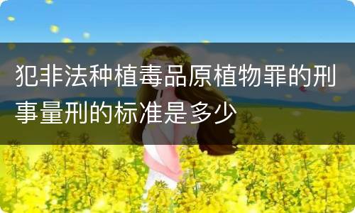 犯非法种植毒品原植物罪的刑事量刑的标准是多少