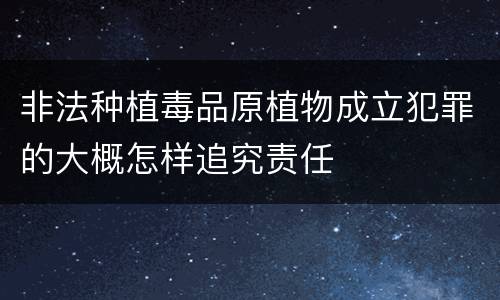 非法种植毒品原植物成立犯罪的大概怎样追究责任