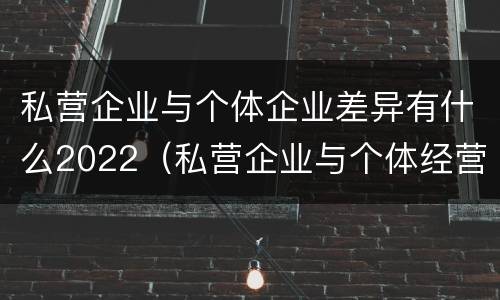 私营企业与个体企业差异有什么2022（私营企业与个体经营企业的区别）
