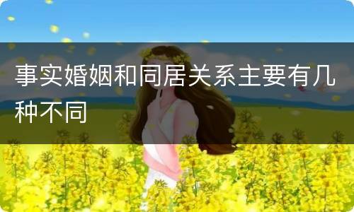 事实婚姻和同居关系主要有几种不同