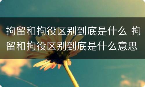 拘留和拘役区别到底是什么 拘留和拘役区别到底是什么意思