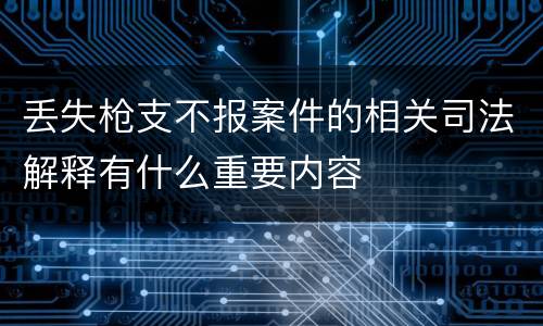 丢失枪支不报案件的相关司法解释有什么重要内容