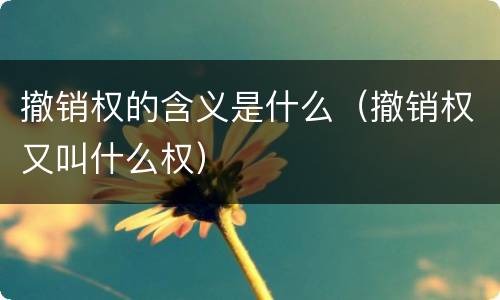 撤销权的含义是什么（撤销权又叫什么权）