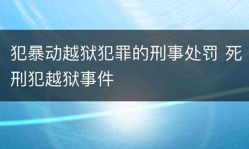 犯暴动越狱犯罪的刑事处罚 死刑犯越狱事件