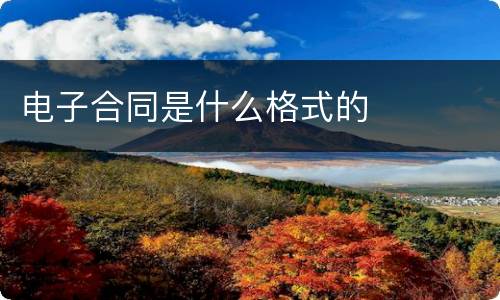 电子合同是什么格式的