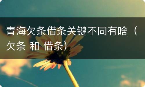 青海欠条借条关键不同有啥（欠条 和 借条）