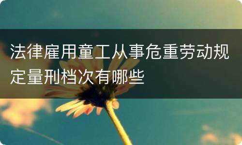 法律雇用童工从事危重劳动规定量刑档次有哪些