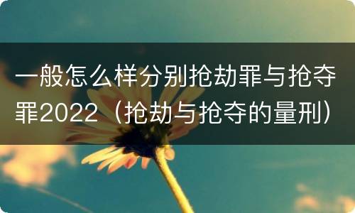 一般怎么样分别抢劫罪与抢夺罪2022（抢劫与抢夺的量刑）