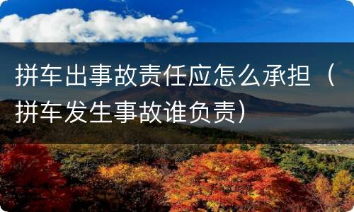 拼车出事故责任应怎么承担（拼车发生事故谁负责）