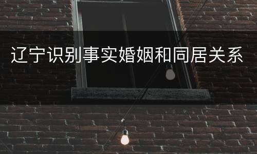 辽宁识别事实婚姻和同居关系