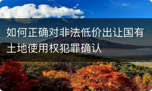 如何正确对非法低价出让国有土地使用权犯罪确认