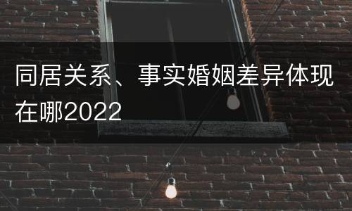 同居关系、事实婚姻差异体现在哪2022