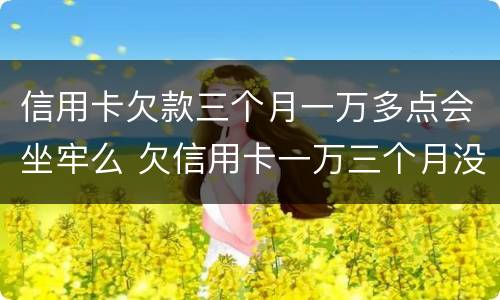 信用卡欠款三个月一万多点会坐牢么 欠信用卡一万三个月没还了