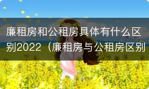 廉租房和公租房具体有什么区别2022（廉租房与公租房区别）