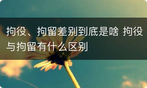 拘役、拘留差别到底是啥 拘役与拘留有什么区别