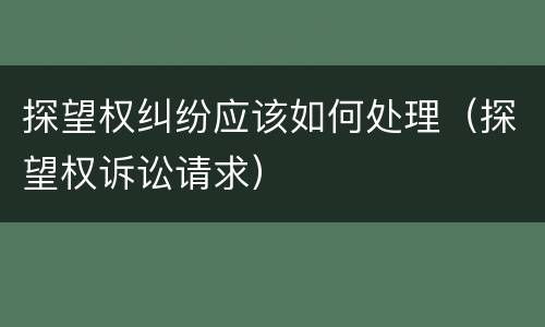 探望权纠纷应该如何处理（探望权诉讼请求）
