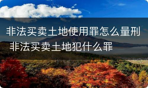 非法买卖土地使用罪怎么量刑 非法买卖土地犯什么罪