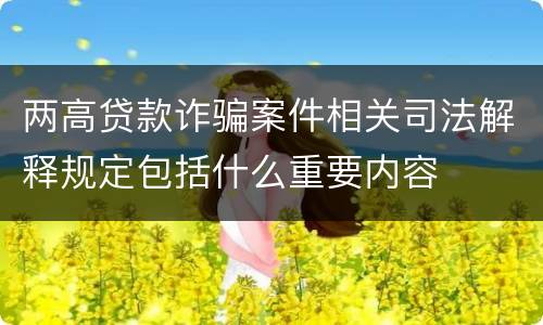 两高贷款诈骗案件相关司法解释规定包括什么重要内容