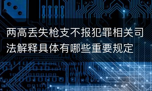 两高丢失枪支不报犯罪相关司法解释具体有哪些重要规定