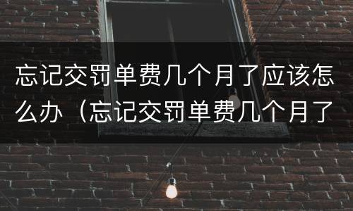 忘记交罚单费几个月了应该怎么办（忘记交罚单费几个月了应该怎么办呢）