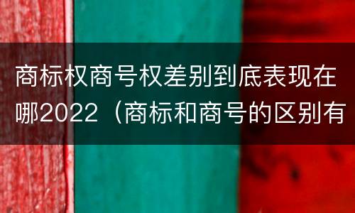 商标权商号权差别到底表现在哪2022（商标和商号的区别有哪些?）