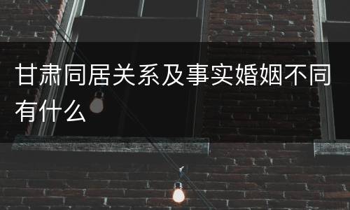 甘肃同居关系及事实婚姻不同有什么
