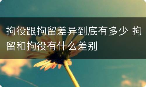 拘役跟拘留差异到底有多少 拘留和拘役有什么差别