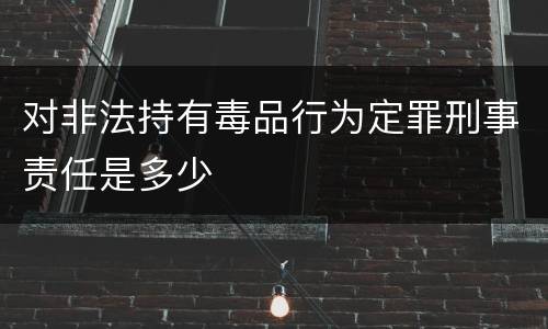 对非法持有毒品行为定罪刑事责任是多少