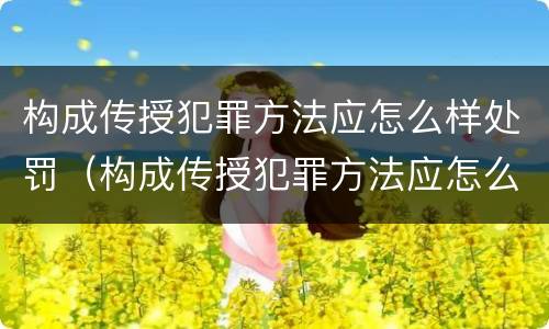 构成传授犯罪方法应怎么样处罚（构成传授犯罪方法应怎么样处罚）