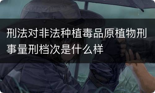 刑法对非法种植毒品原植物刑事量刑档次是什么样