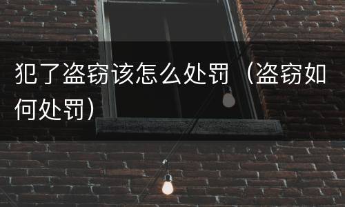 犯了盗窃该怎么处罚（盗窃如何处罚）