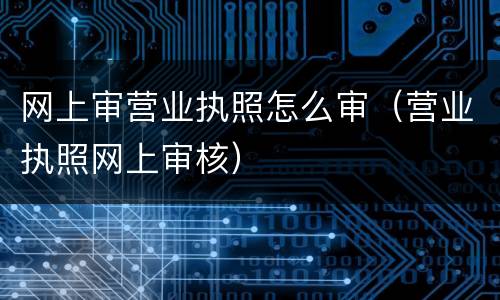 网上审营业执照怎么审（营业执照网上审核）