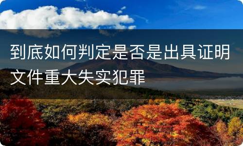 到底如何判定是否是出具证明文件重大失实犯罪