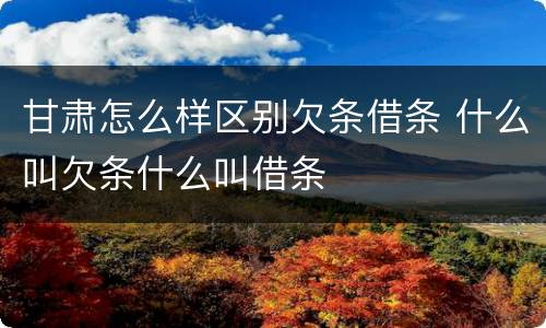 甘肃怎么样区别欠条借条 什么叫欠条什么叫借条