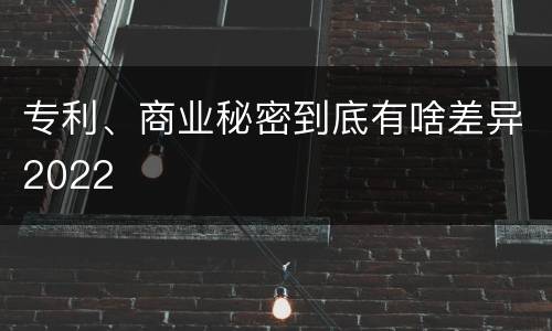 专利、商业秘密到底有啥差异2022