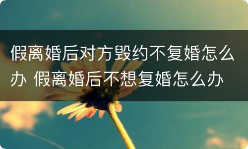 假离婚后对方毁约不复婚怎么办 假离婚后不想复婚怎么办