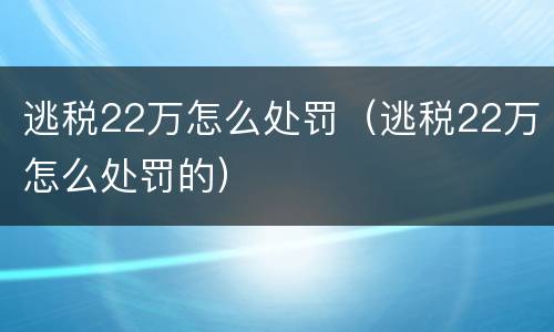 逃税22万怎么处罚（逃税22万怎么处罚的）