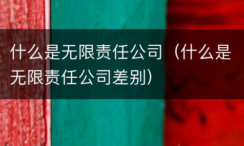 什么是无限责任公司（什么是无限责任公司差别）