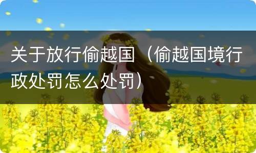 关于放行偷越国（偷越国境行政处罚怎么处罚）