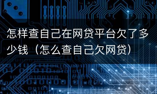 怎样查自己在网贷平台欠了多少钱（怎么查自己欠网贷）