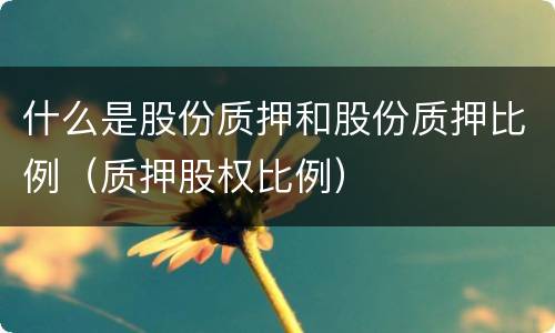什么是股份质押和股份质押比例（质押股权比例）