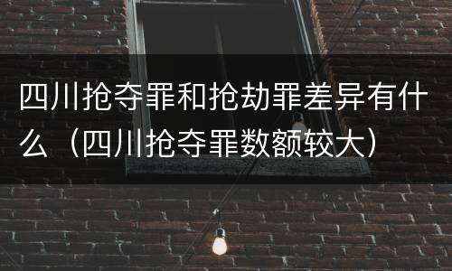 四川抢夺罪和抢劫罪差异有什么（四川抢夺罪数额较大）