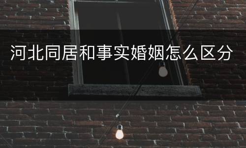 河北同居和事实婚姻怎么区分