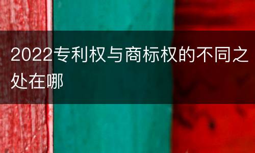 2022专利权与商标权的不同之处在哪