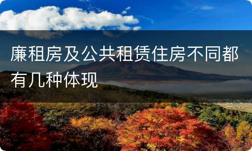 廉租房及公共租赁住房不同都有几种体现