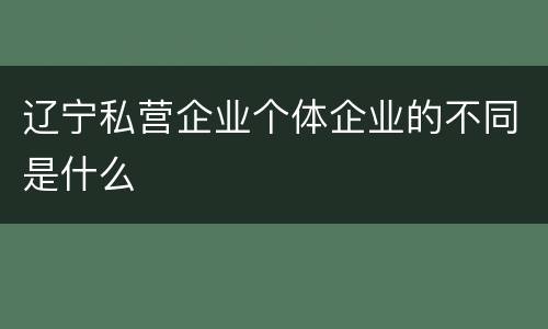 辽宁私营企业个体企业的不同是什么