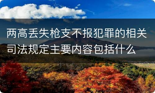 两高丢失枪支不报犯罪的相关司法规定主要内容包括什么