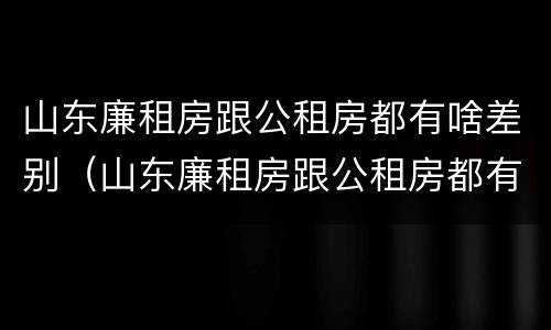 山东廉租房跟公租房都有啥差别（山东廉租房跟公租房都有啥差别吗）