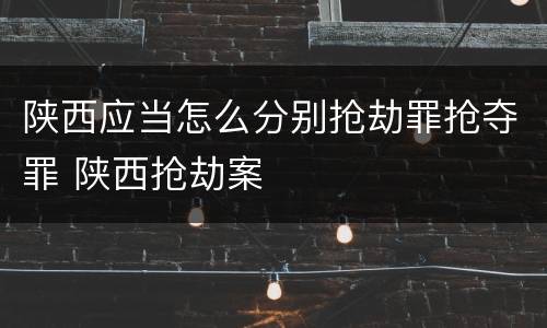 陕西应当怎么分别抢劫罪抢夺罪 陕西抢劫案
