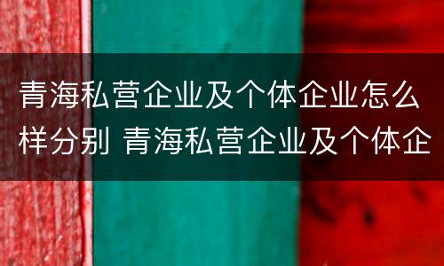 青海私营企业及个体企业怎么样分别 青海私营企业及个体企业怎么样分别交税